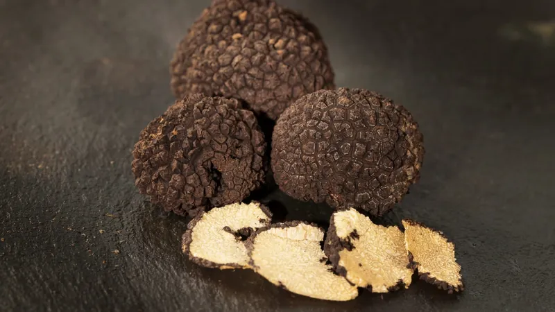 GanoCafé com Trufas, Fungos com Café Gano Excel Brasil