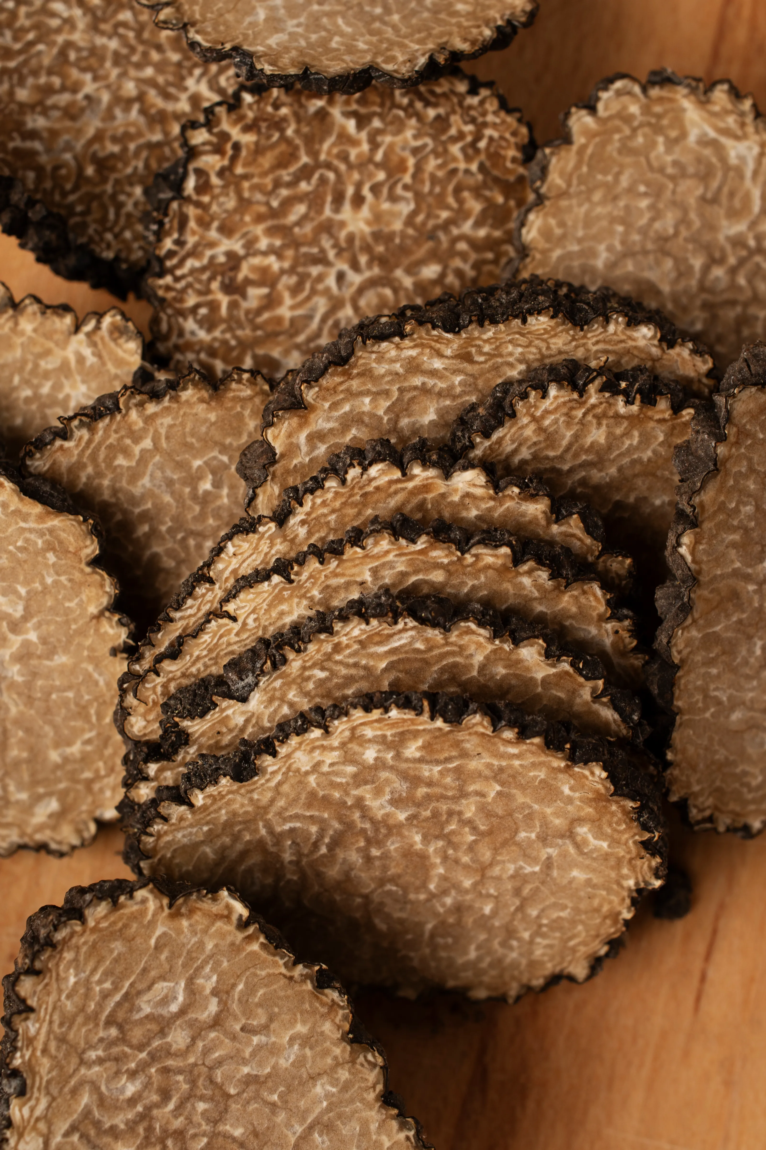 Trufa comestível (fungo)